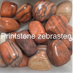 Stjernetegn og lykkesten - Printstone Zebrasten - Spirituelle sten