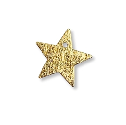 Stjerne 14 mm, Børstet, Forgyldt sølv 
