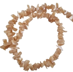 Store beigefarvet Shell splitter / chips perler