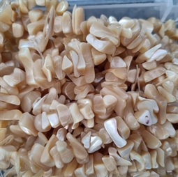 Store beigefarvet Shell splitter / chips perler