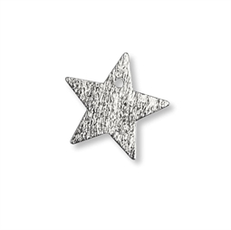 Børstet sølv stjerne 14 mm