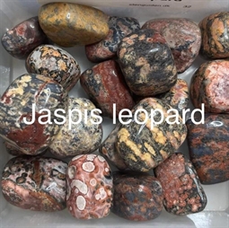 Stjernetegn og lykkesten - Spirituelle sten - Jaspis leopard