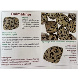 Info om Stjernetegn og lykkesten - Dalmatiner